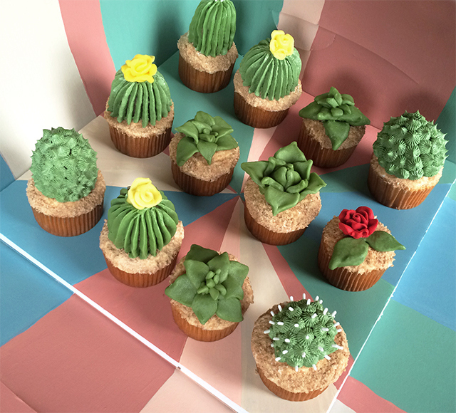 House Plant Cactus Cupcakes-1b