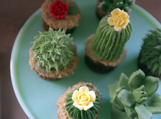 House Plant Cactus Cupcakes-2