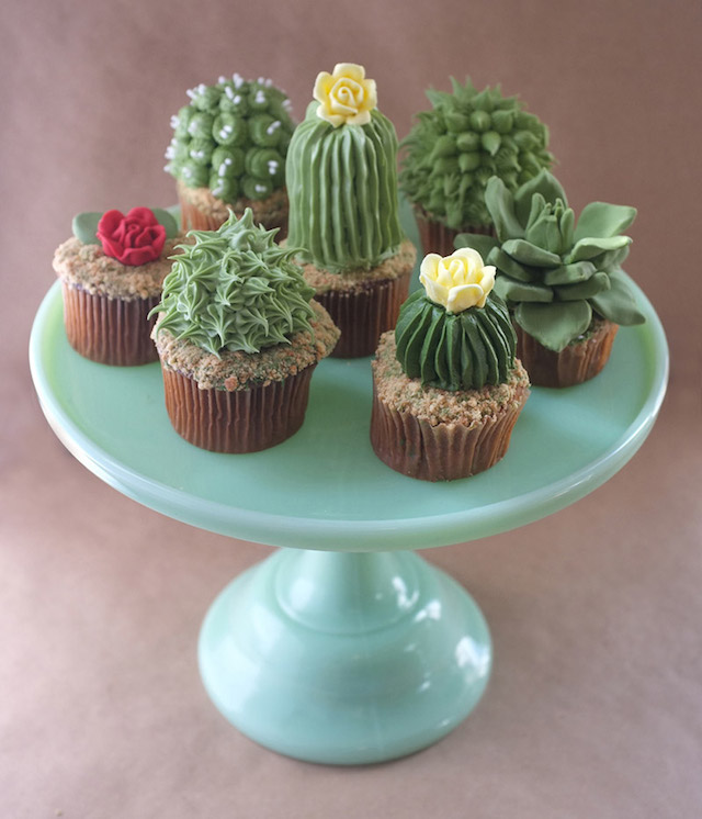 House Plant Cactus Cupcakes-3