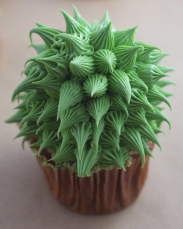 House Plant Cactus Cupcakes-4