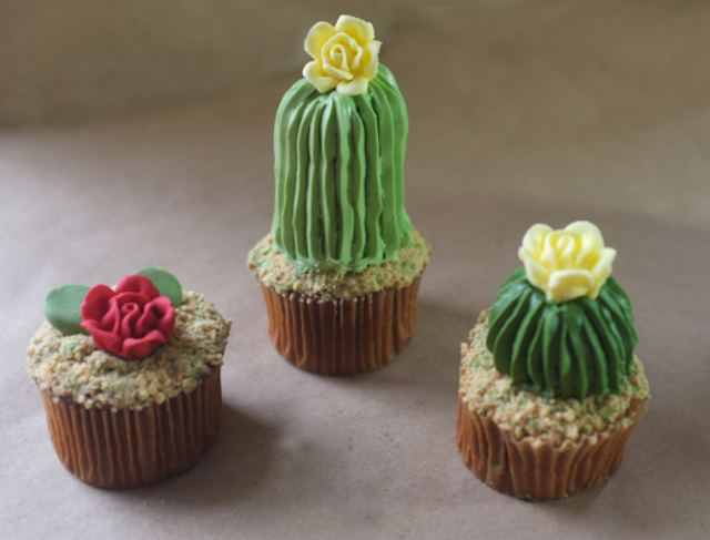 House Plant Cactus Cupcakes-5