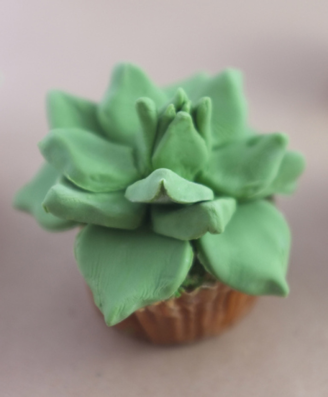 House Plant Cactus Cupcakes-6