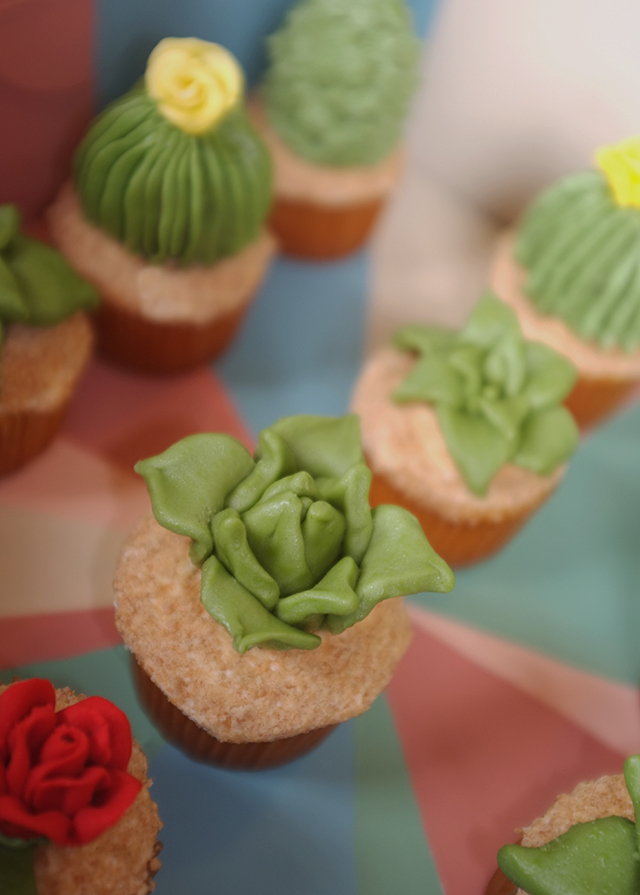 House Plant Cactus Cupcakes-8