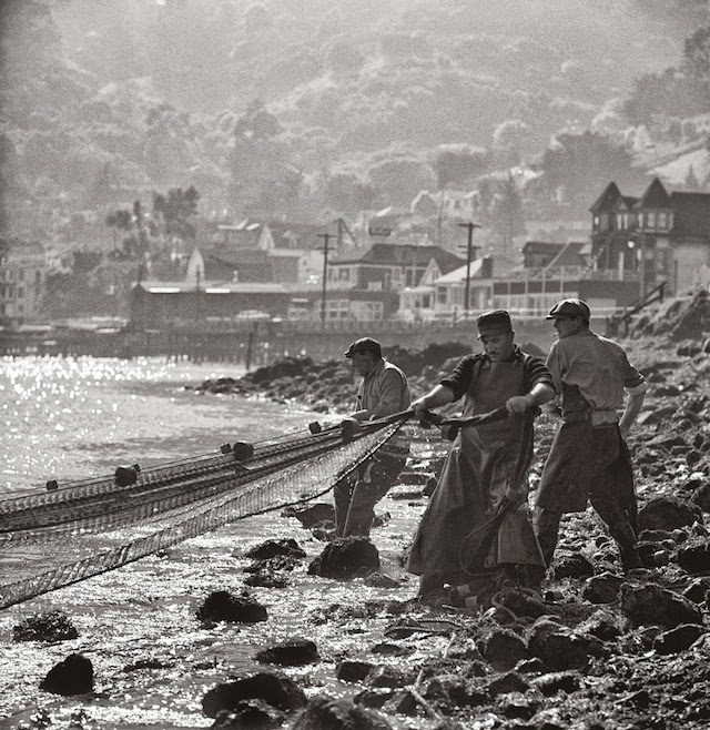 San Francisco Vintage Photography-4