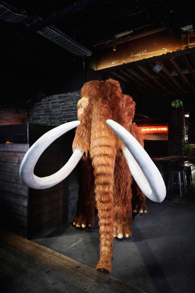 The Woolly Mammoth Interior Design-10b