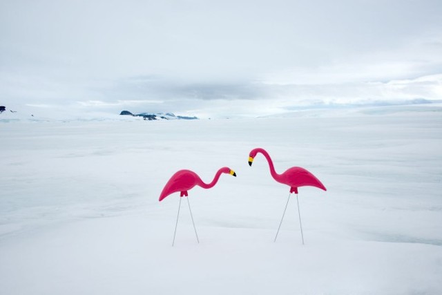Unexpected Antartica Photography by Gray Malin-3