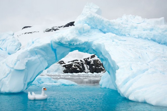 Unexpected Antartica Photography by Gray Malin-4