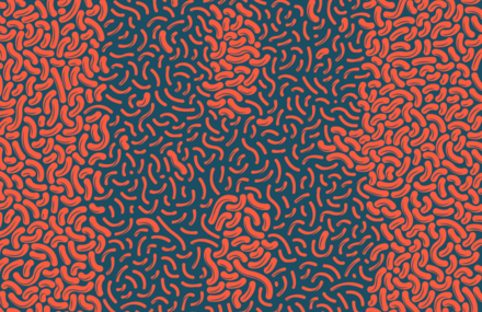 Optical Contractions