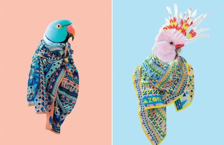 Blazon Scarf Collection With Birds Models