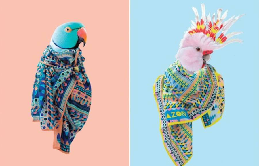 Blazon Scarf Collection With Birds Models