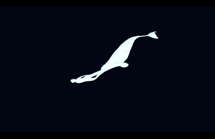 New hand-drawing animation