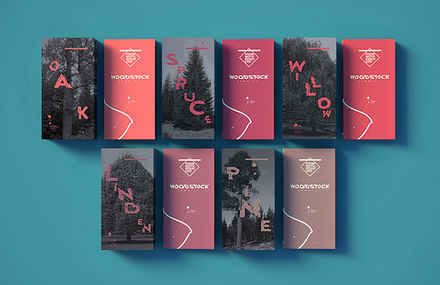 Woodstock Sawmill Branding