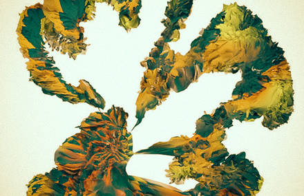 Hybonica by HaiLe