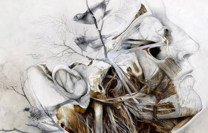 Nature And Anatomy Paintings