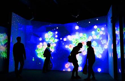 Whorl, an interactive floral installation