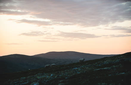 Norvège – Utopies personnelles d&rsquo;un pays sans nuit
