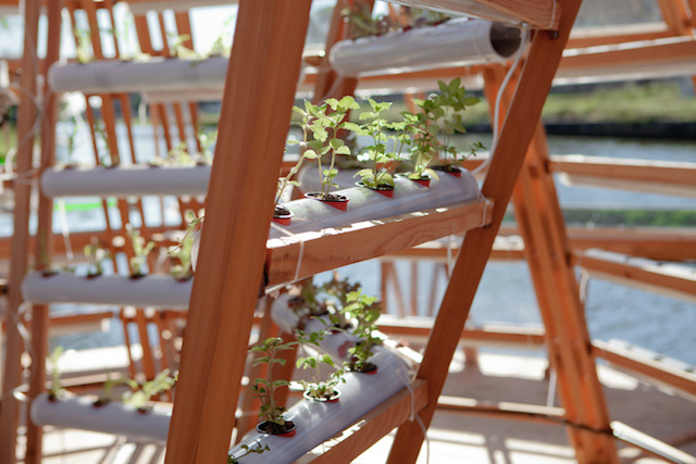 4-jellyfish-barge-floating-agricultural-greenhouse-by-studiomobile