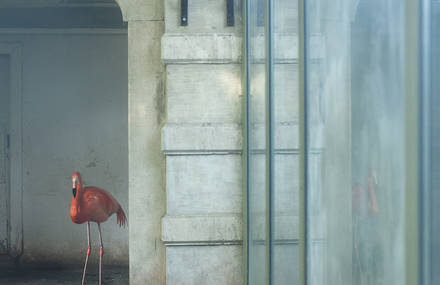 Eric Pillot wins the Académie des Beaux Arts Photography Award