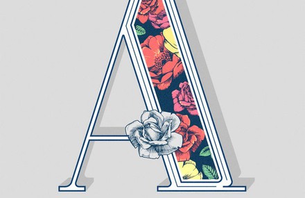 Alphabets Typography