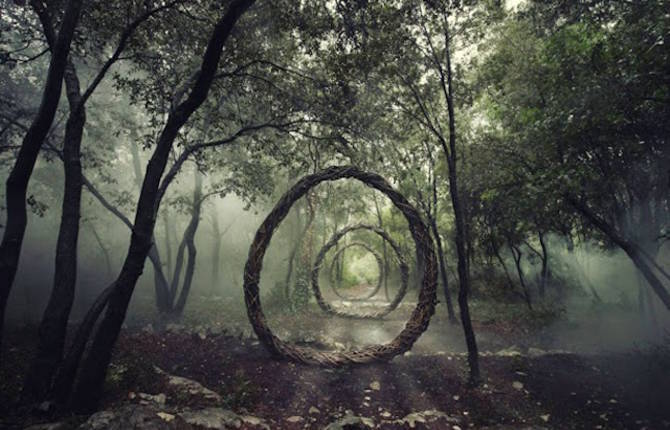 Forest Sculpture by Spencer Byles