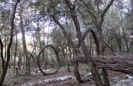 Forest Sculpture by Spencer Byles