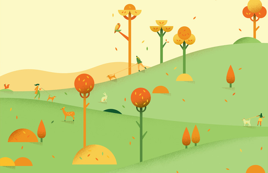 Google Calendar Illustrations