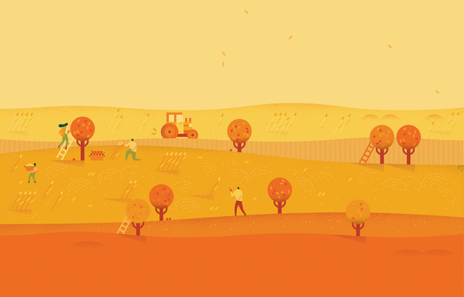Google Calendar Illustrations