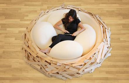 Giant Birdnest for Humans