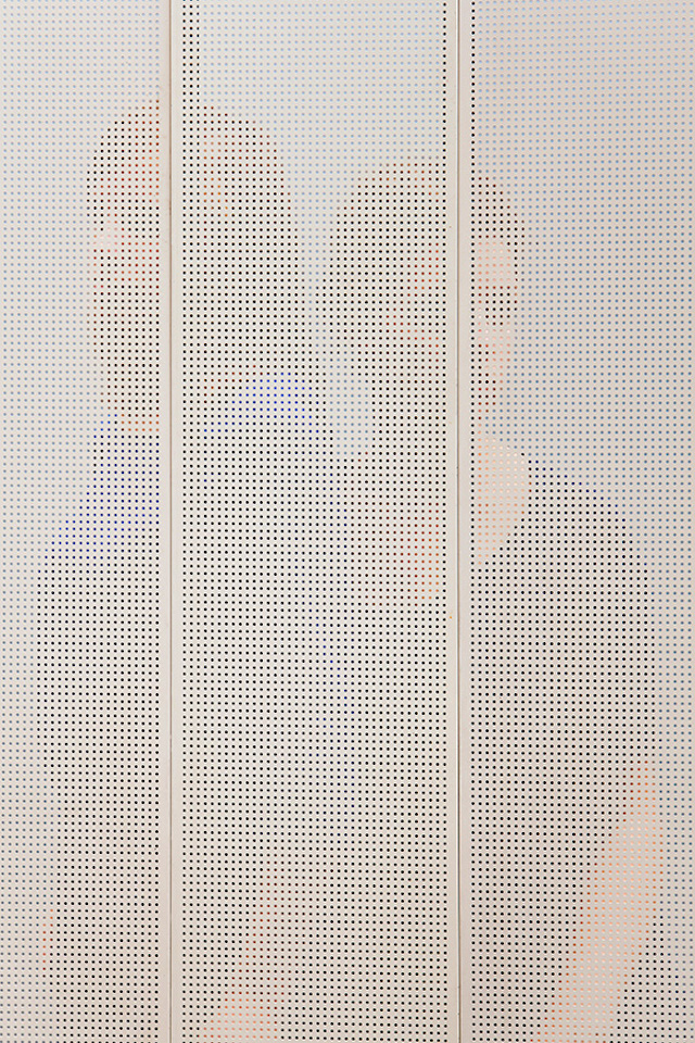 People Behind Perforated Screen-4