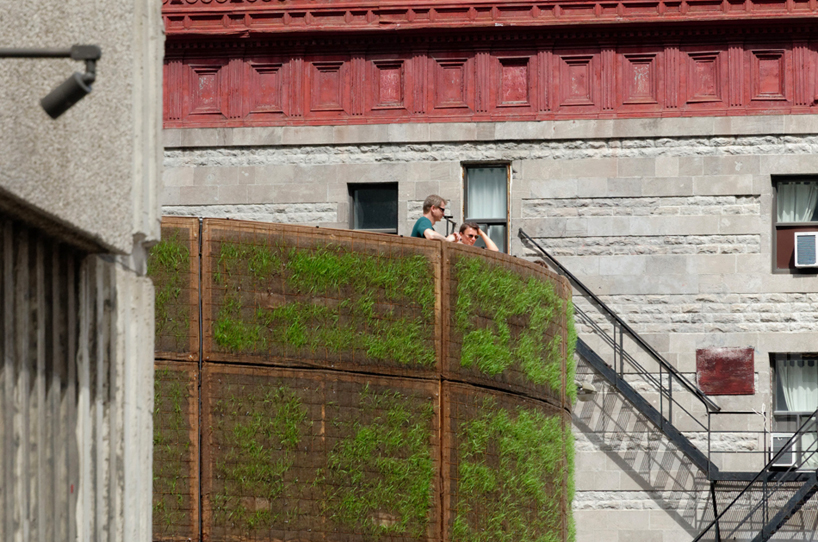 Plants Living in House Pavilion_1