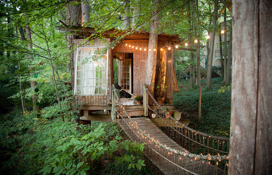 Secluded Intown Treehouse