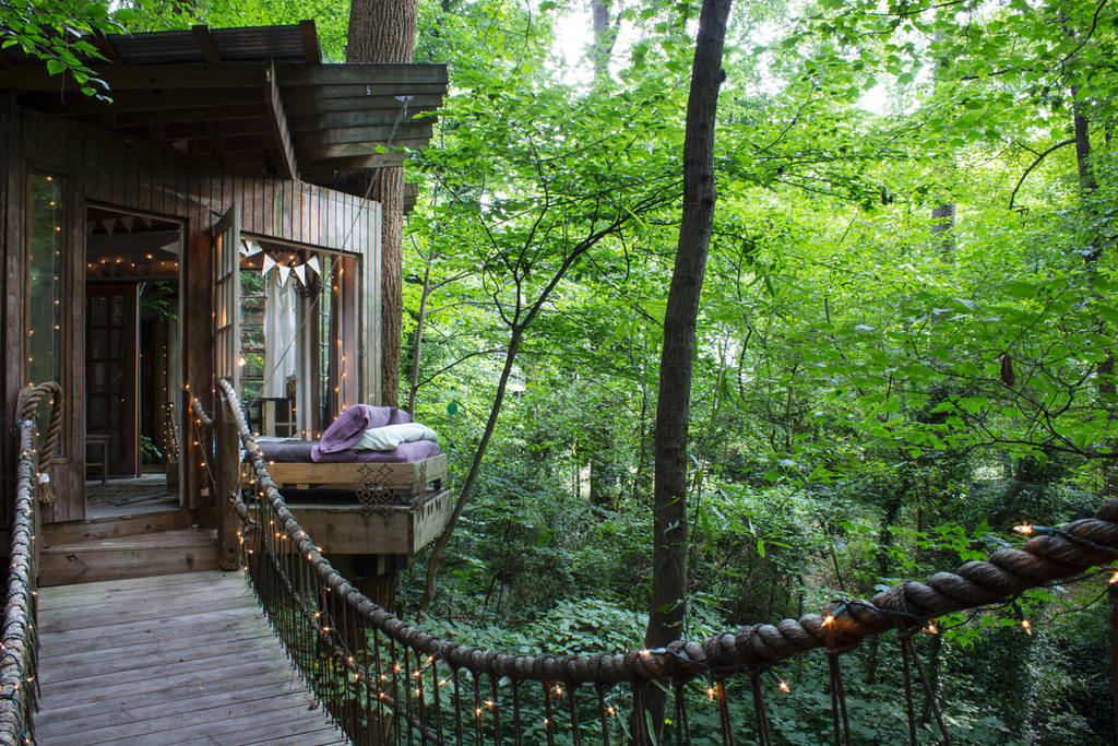Secluded Intown Treehouse_9