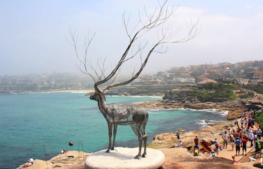 Steel Animal Sculptures on The Beach