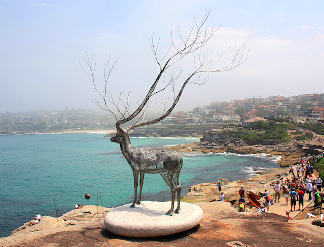 Steel Animal Sculptures on The Beach-1