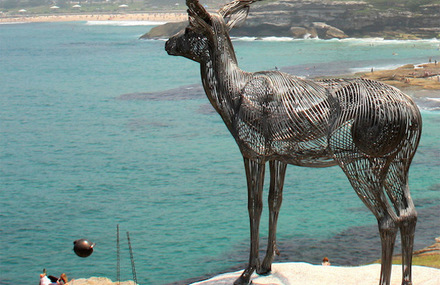 Steel Animal Sculptures on The Beach