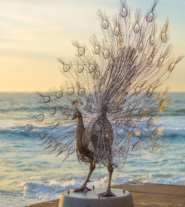 Steel Animal Sculptures on The Beach-5