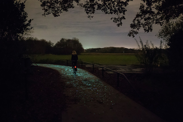 Van Gogh Bike Path-8