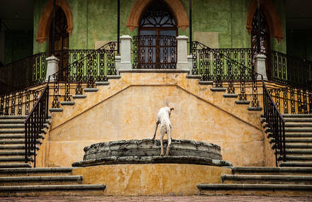 [gone] MEXICO