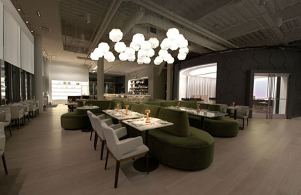 Café ArtScience par Mathieu Lehanneur