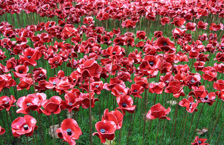 Johnson Tiles proud to have helped Tower Poppies bloom