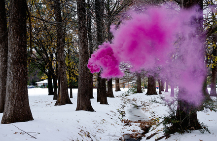 Colors Explosions by Irby Pace