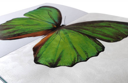 Fedrigoni Metallic Papers