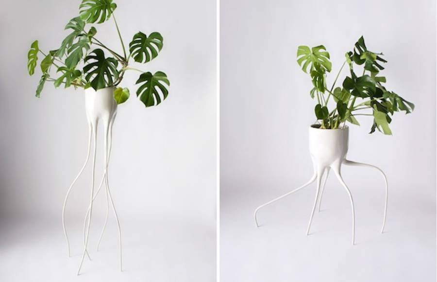 Monstera Pots for Plants