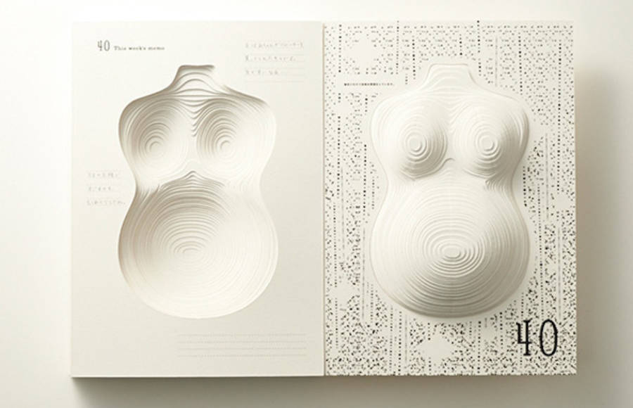Pregnancy Mother Book