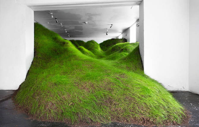 Green Grass Installation