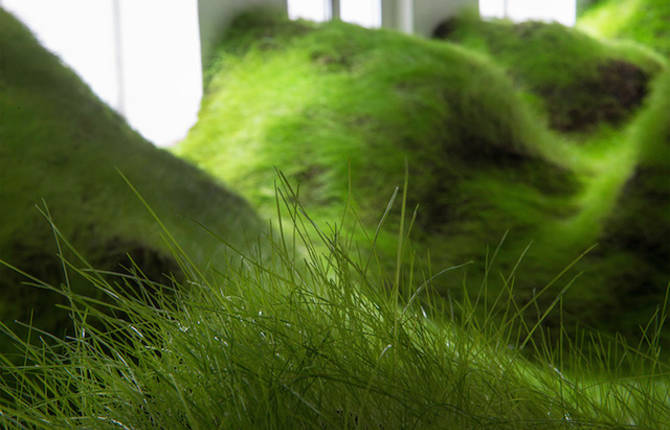 Green Grass Installation