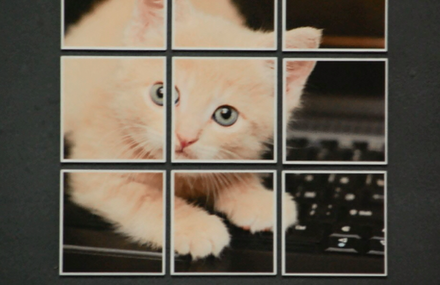 Picgravy Photo Magnets