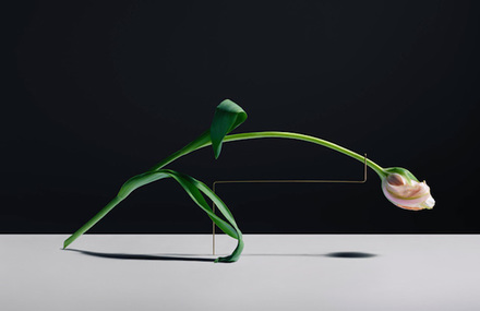 Flowers Sculptures by Carl Kleiner