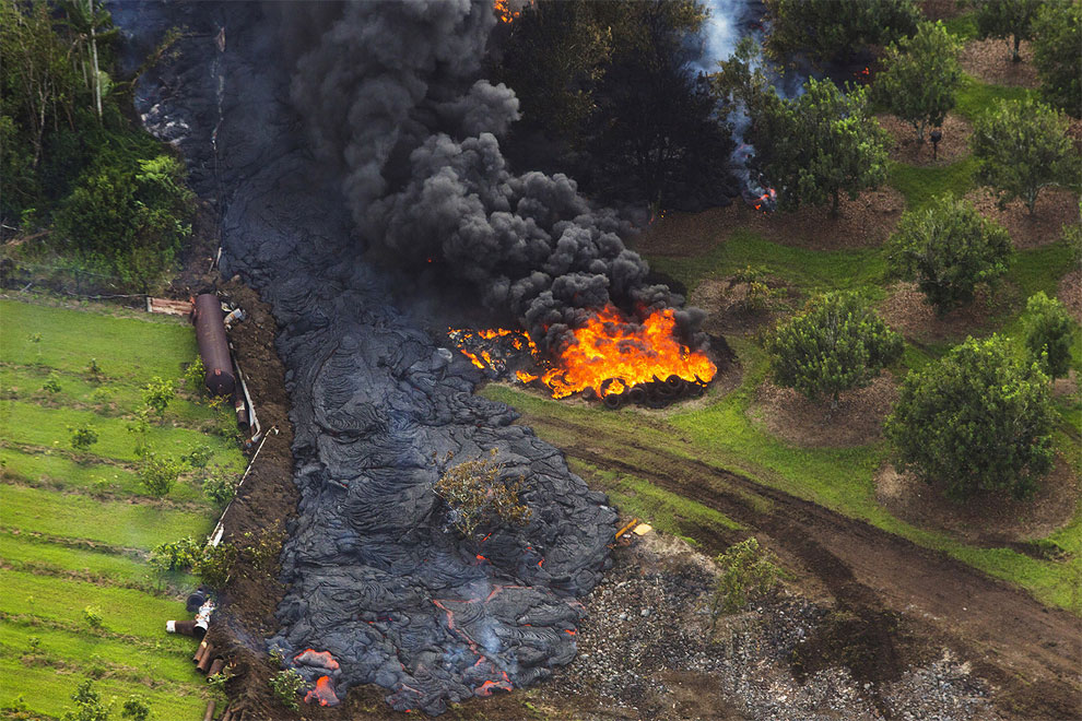 2014 Best News Photos of The Year-15