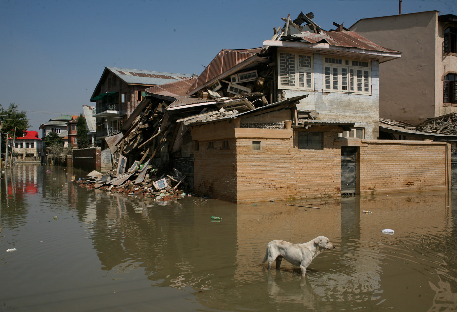 2014 Best News Photos of The Year-50